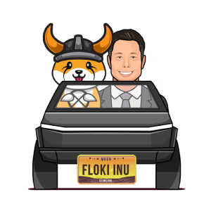 Where and How to Buy FLOKI in 2022 – A Beginner’s Guide 